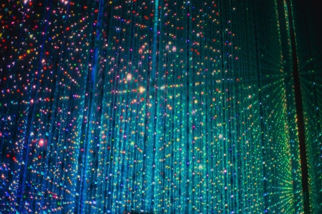 A group of people standing in front of a large display of fireworks