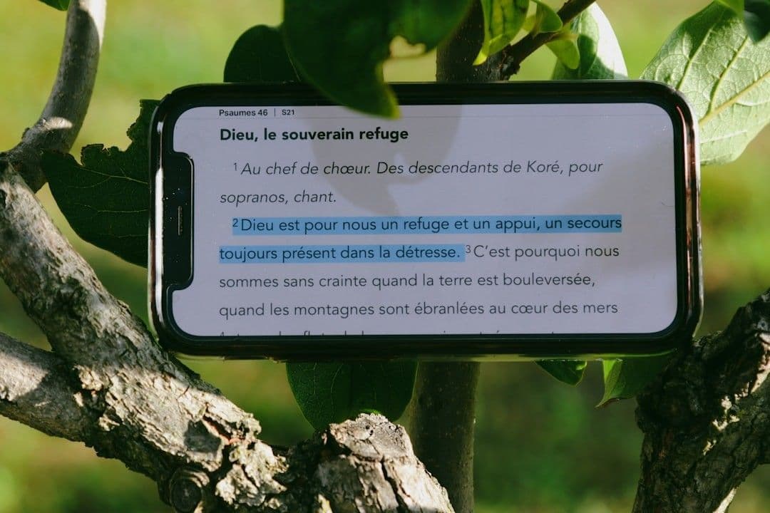 a sign is posted on a tree branch