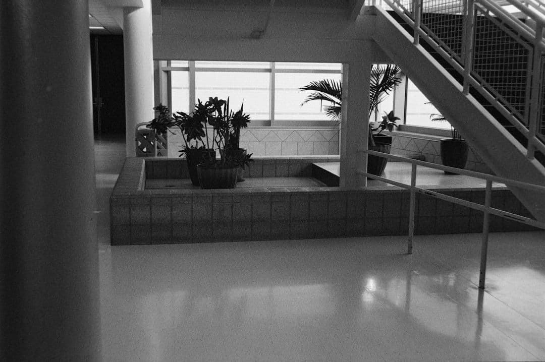 Indoor atrium with plants and stairs