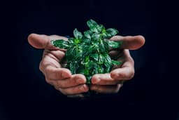 Génération Z au travail : Décryptez les codes d'un leadership inspirant