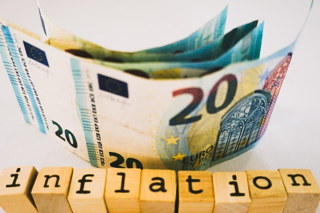 Euro banknotes and inflation blocks
