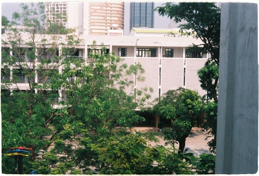 green trees near white concrete building during daytime