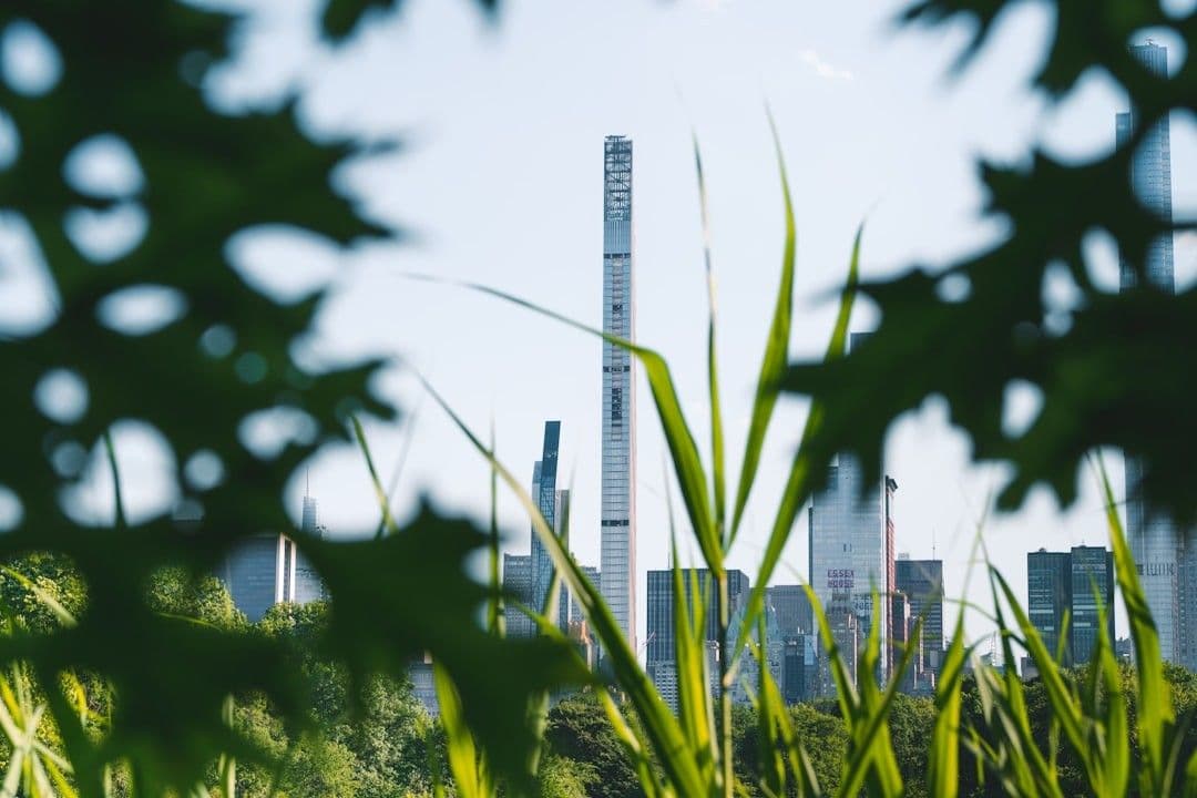a view of a tall building through some grass